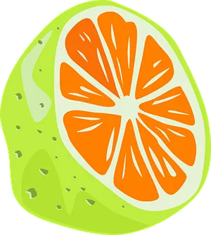 Stylized Orange Slice Illustration PNG Image