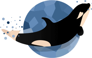 Happy Baby Orca Illustration Vector Whale Orca Baby - Vector Orca Art Png, Transparent Png PNG