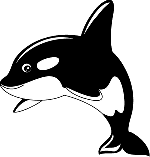 Killer Whale Clipart, HD Png Download PNG image with transparent background