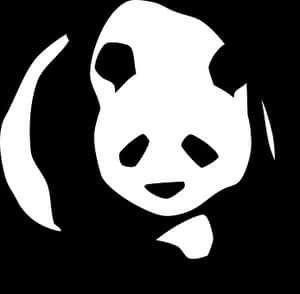Stylized Panda Graphic PNG image with transparent background