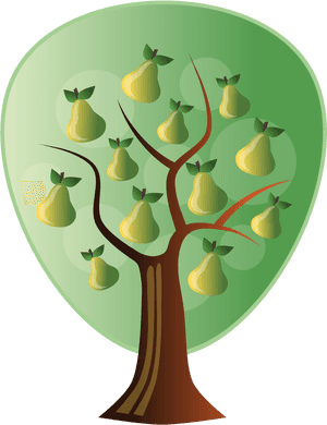 Pear Tree Clipart Hd, HD Png Download PNG with transparent background