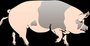 Stylized Pig Illustration PNG image with transparent background