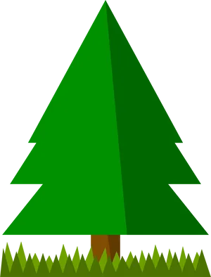 Stylized Pine Tree Vector PNG Image