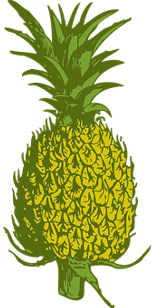 Stylized Pineapple Graphic PNG Image