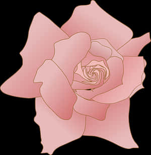 Stylized Pink Rose Illustration PNG with transparent background