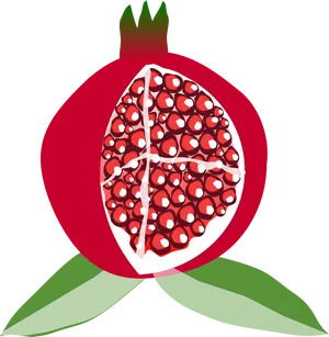 Stylized Pomegranate Illustration PNG Image