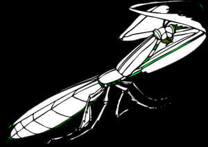 Stylized Praying Mantis Illustration PNG image with transparent background