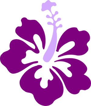 Stylized Purple Hibiscus Graphic PNG image with transparent background