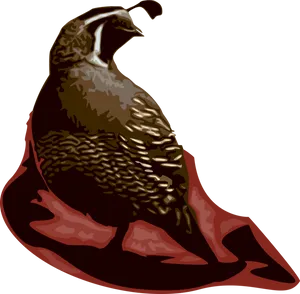 Stylized Quail Illustration PNG Image