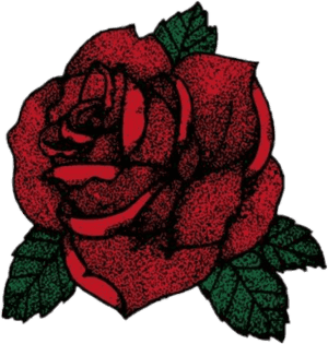 Transparent Red Flowers Clipart - Snapchat Rose Sticker, HD Png Download PNG image with transparent background
