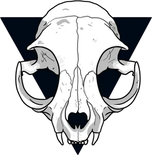 Stylized Saber Toothed Skull Illustration PNG Image