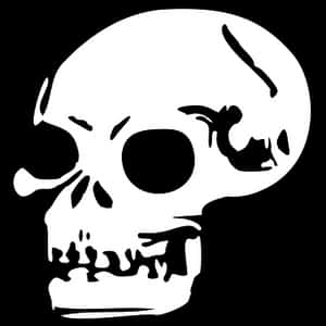 Stylized Skull Graphic PNG image with transparent background