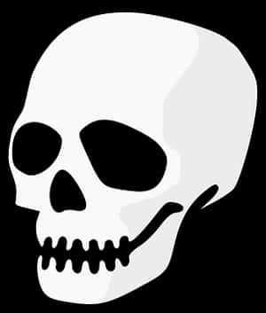 Stylized Skull Graphic PNG image with transparent background