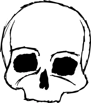 Stylized Skull Graphic PNG Image