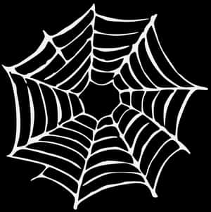 Stylized Spider Web Graphic PNG image with transparent background