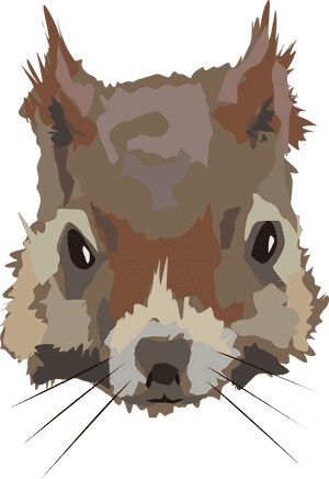 Stylized Squirrel Portrait PNG image with transparent background