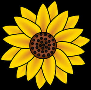 Stylized Sunflower Illustration PNG with transparent background