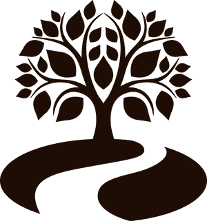 Transparent Park Png - Park Icon, Png Download PNG image with transparent background