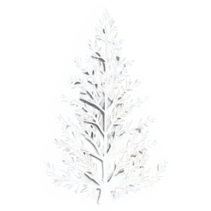 Stylized Tree Outline Png Boc PNG Image