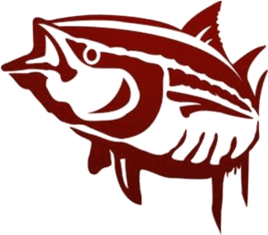 Sea Animals Png Hd Images, Stickers, Vectors - Tuna, Transparent Png PNG