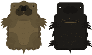 Stylized Turtle Duo PNG image with transparent background