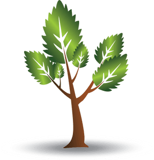 Stylized Vector Tree Illustration PNG image with transparent background