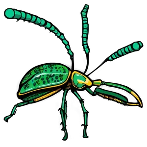 Stylized Weevil Drawing Png Duc PNG Image