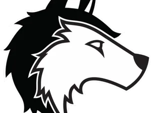 Stylized Wolf Head Logo PNG Image