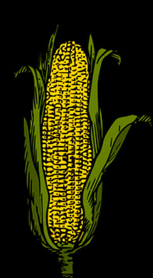 Stylized Yellow Corn Ear PNG image with transparent background