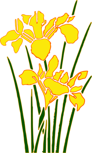 Daffodil Cartoon 7, Buy Clip Art, HD Png Download PNG