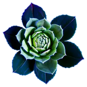 Succulent Flower Cricut Design Png 06282024 PNG Image