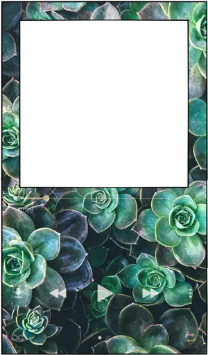 Succulent Frame Greenery Background PNG Image