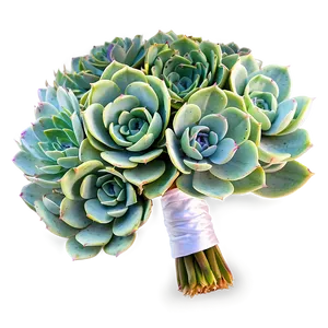 Succulent Wedding Bouquets Png Mns PNG Image