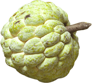 Custard Apple Png Image - Custard Apple Png, Transparent Png PNG