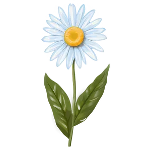 Summer Daisy Print Png Hhj PNG Image