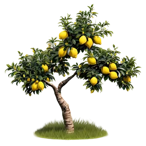 Summer Lemon Tree Scene Png Uqd57 PNG Image