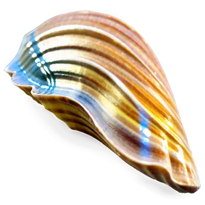 Summer Vibes Seashell Png 06252024 PNG Image