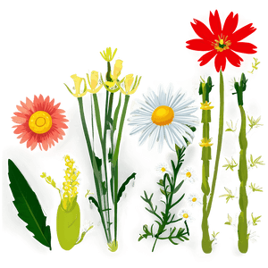 Summer Wildflowers Field PNG pbp89 PNG with transparent background