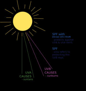 Sun Protection Factors Explained PNG image with transparent background