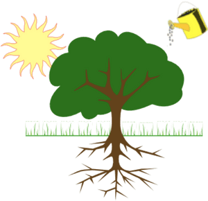 Sun Tree Watering Can Illustration PNG image with transparent background