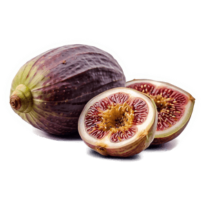 Sundried Fig Pack PNG liy57 PNG