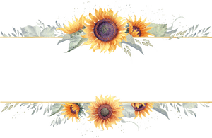 Sunflower Border Png - Transparent Background Sunflower Border, Png Download PNG