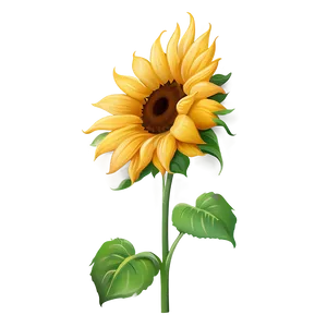 Sunflower Clipart No Background Png 15 PNG Image