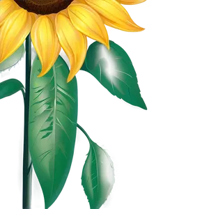 Sunflower Design Transparent Png Pqs PNG Image