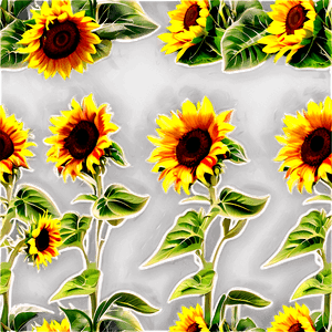 Sunflower Field PNG 05032024 PNG image with transparent background
