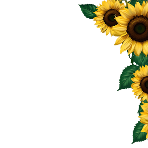 Sunflower Frame PNG 46 PNG image with transparent background