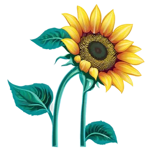 Sunflower Graphic Transparent Png Eid85 PNG Image