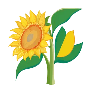 Sunflower Outline Transparent Png Jcv PNG Image