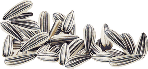 Transparent Seeds Clipart - Transparent Sunflower Seed Clipart, HD Png Download PNG