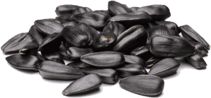 Sunflower Seeds Png - Sunflower Seed Png, Transparent Png PNG